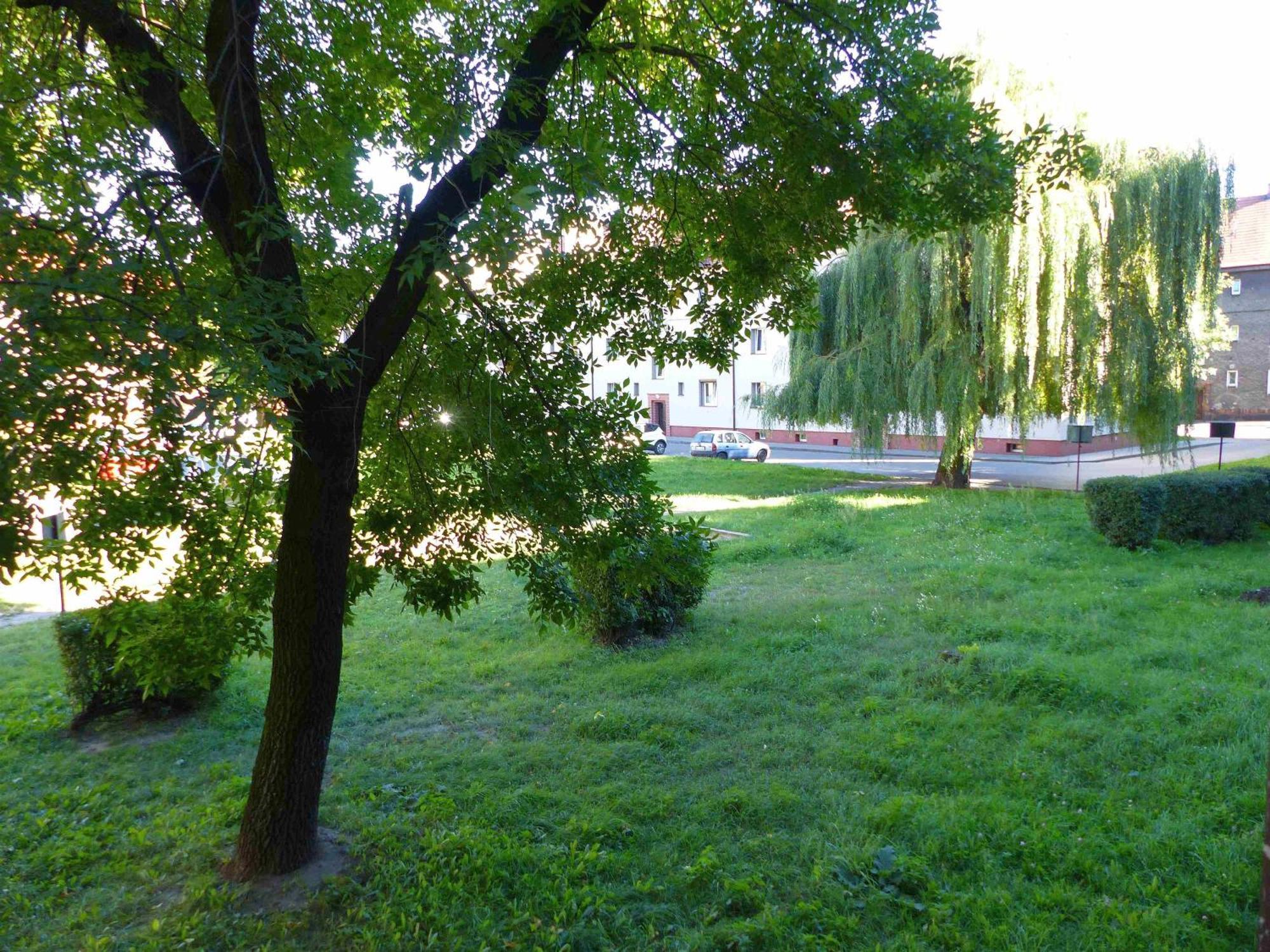 Apartment Morcinka *